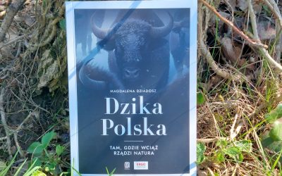 Dzika Polska – recenzja książki Wydawnictwa Bezdroża
